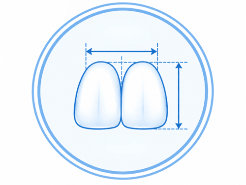 Dental diagram showing width and height measurement arrows for ideal front tooth proportions