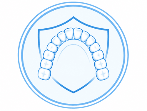 Illustrated dental arch with shield icon representing tooth stability and protection